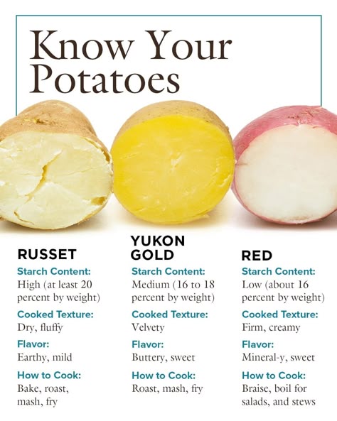 daaaa2361ea9c10478dcae5cb7ce4559