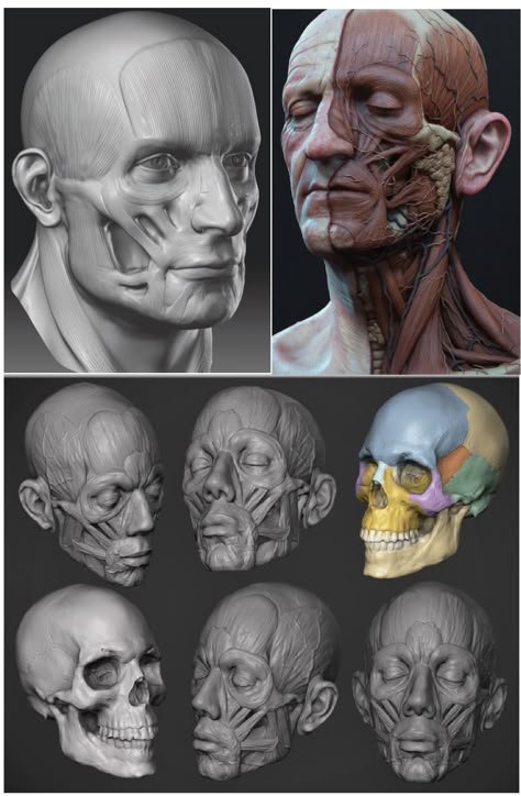 ecb2fc5e7c796c81cab96151657fab18