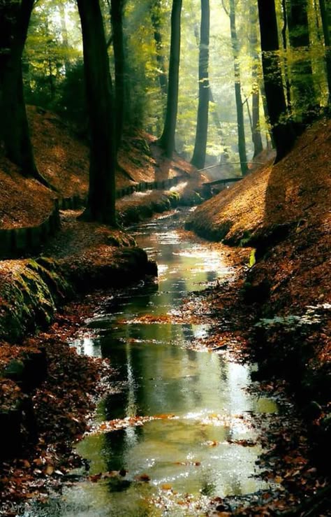 1ae850840a8372da26864198c27bd69a