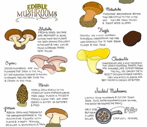 2a406bbecfba9bb215fb3bdfcad93884