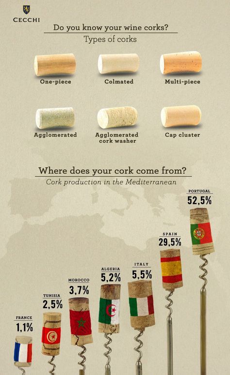 3ca028fbaea6c60dcaee2ef8744c258a