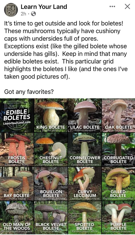 531ff41f8db791b6848c45f1fda5a5d5