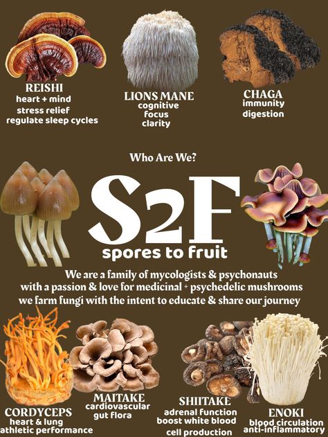 56e4d6bfe596379f9aa5ea5f2f3b0caa