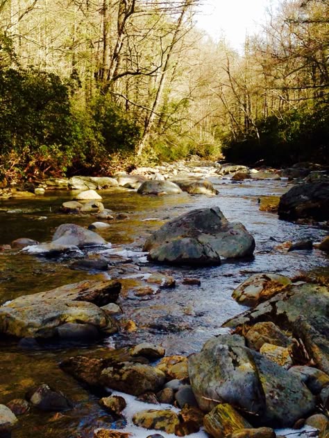 591ef49a35d150654812ebb2db058bbc