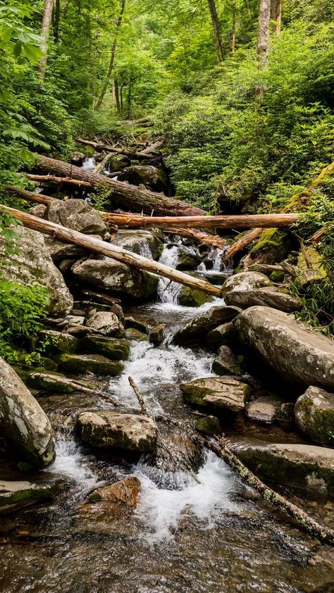 5b638d205fe35a0deb2480d5a31a66c0