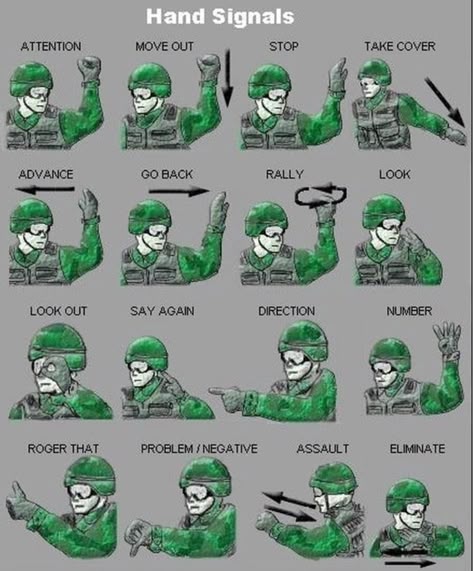 5bc4126e1ad27c7838a3196b2e918cd6