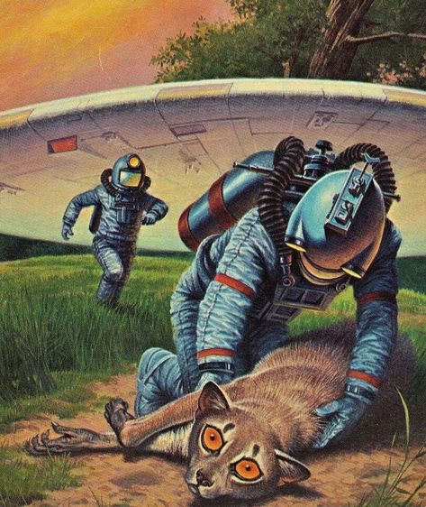 692cb9071d17788e38dd2368cd496404