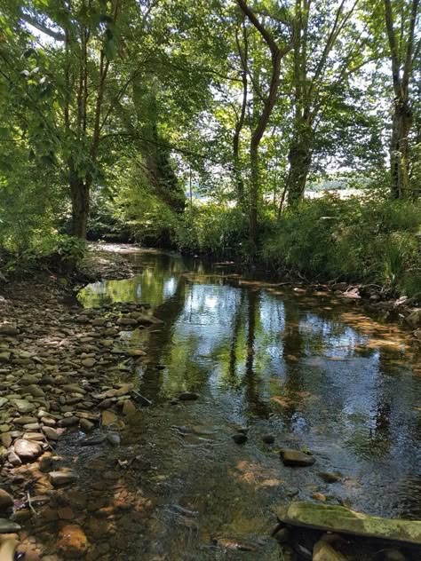 75ba8170aacf8edfa784ce458a5b80c1