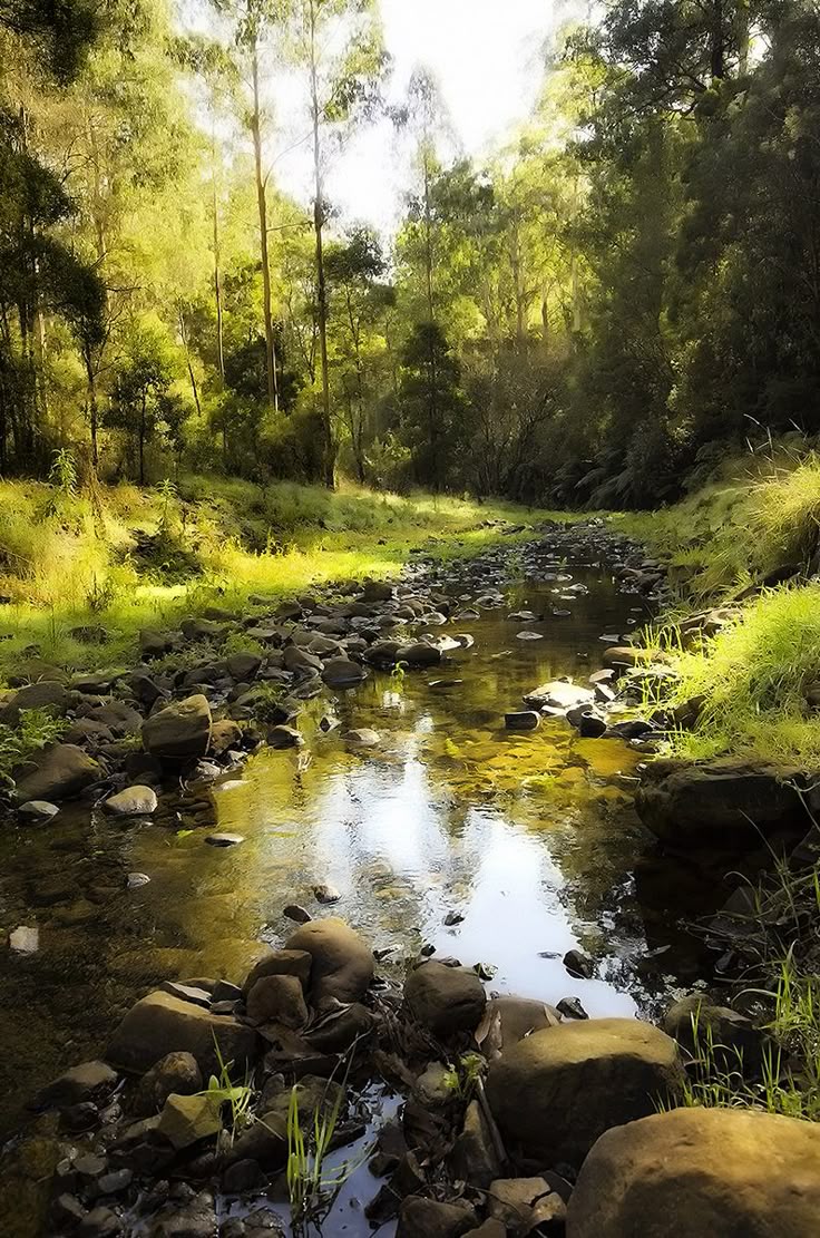 91da7e89a8c840d6560f04f7cc82ca89