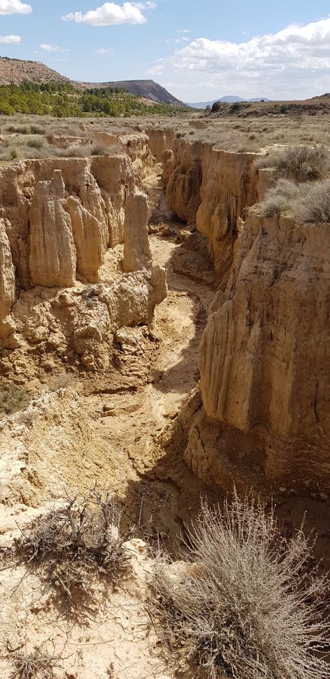 9ebd953d46ec616567bdae930acd6527