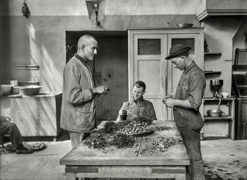 SHORPY 17059a.preview