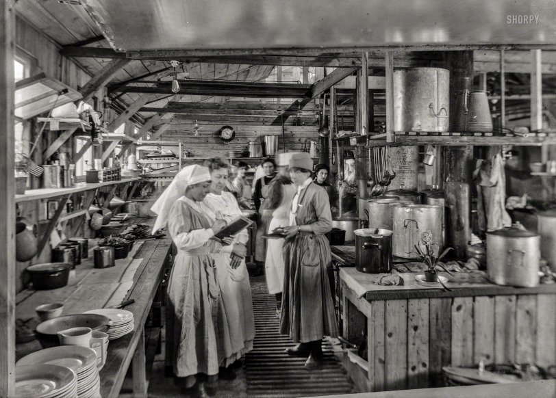 SHORPY 19999a.preview