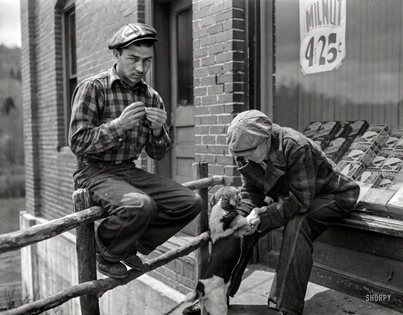 SHORPY 8b14330a.preview