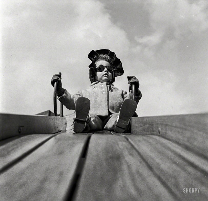 SHORPY 8d34704a.preview