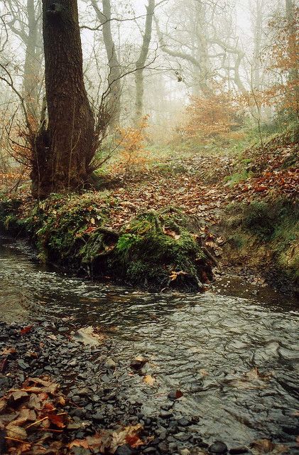 bc3ce758ed46285d05459b3e105bf36d