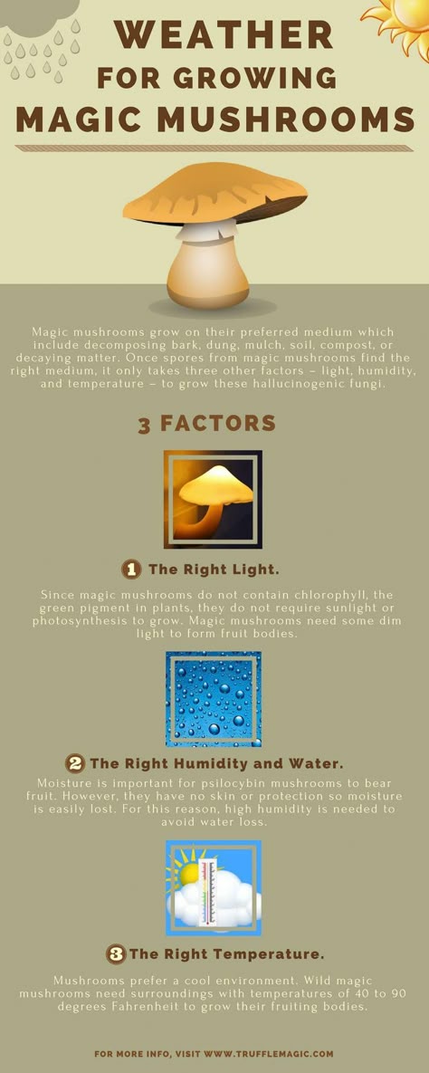 fc037ba7364506676467d70581cbdb36