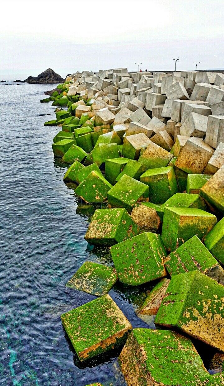 1c3e8ccfdcb95719f8967bca82d22768