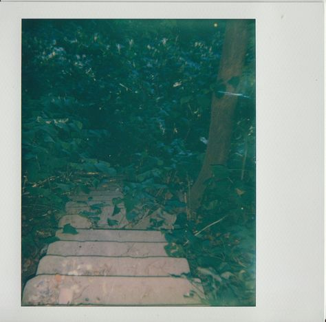 31d1d0fe3da6f4e88a78bf3f890d35b0