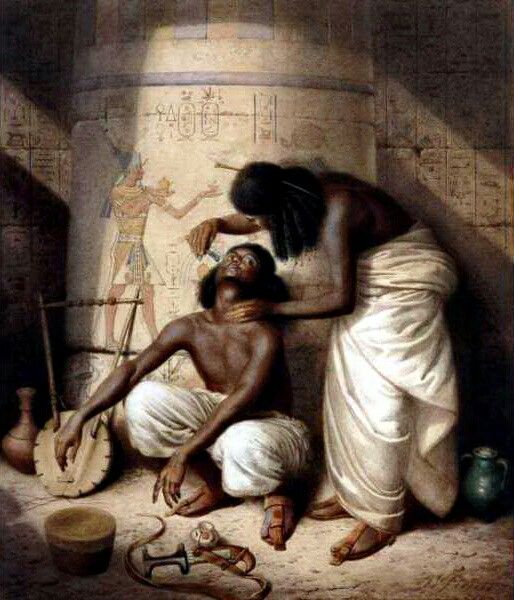 31e1eaaea563092cd659fc485f5feb9e