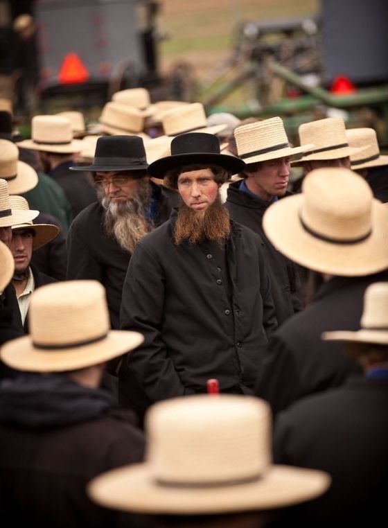 45e32e59d9ab47bc5786a9a285b4a46b