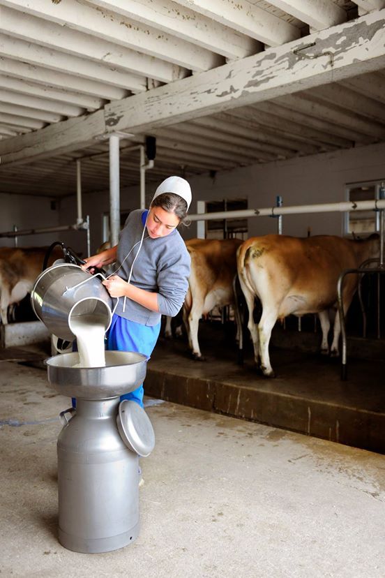 7536a80f04f86346692c6066616ab027