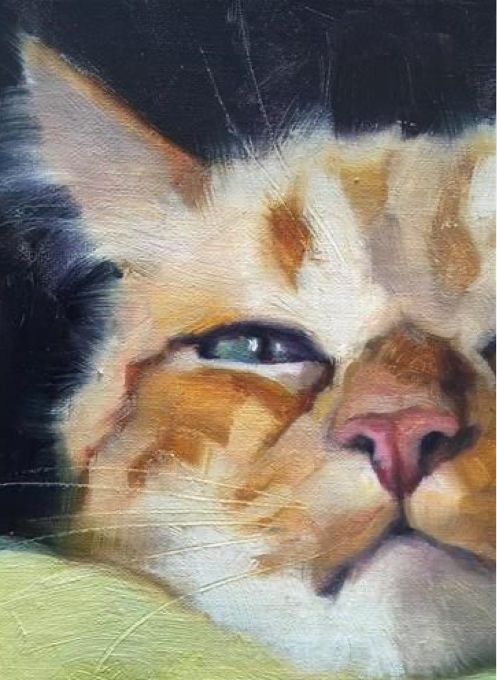 86743062adbadfdc50ee81a6fddce990