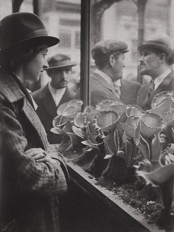 886c06f7f058309fa8660341db1abf9c