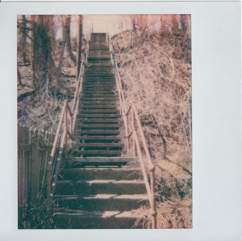 9890f182de1f341027f266154edf2f8c