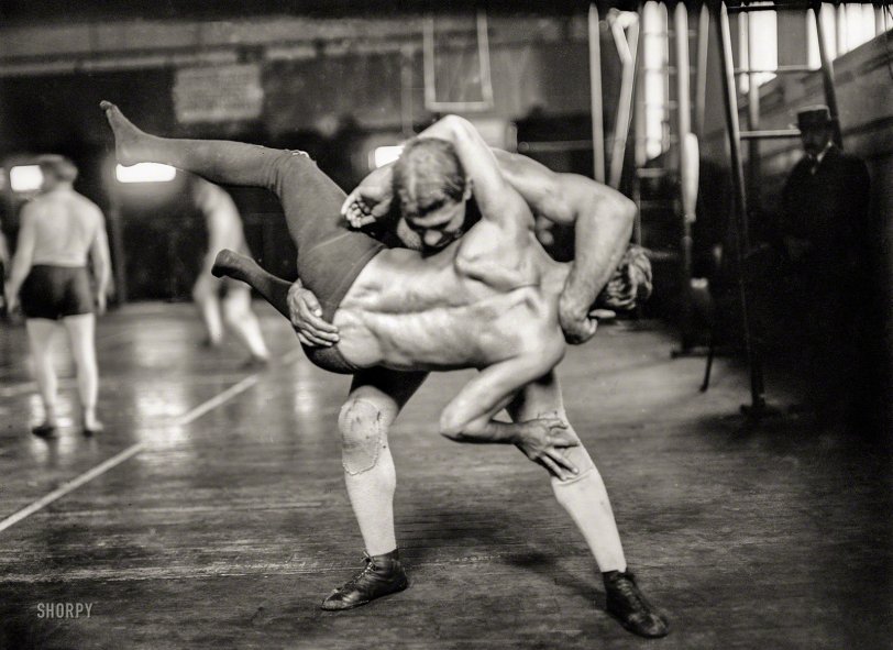 SHORPY 02445u.preview