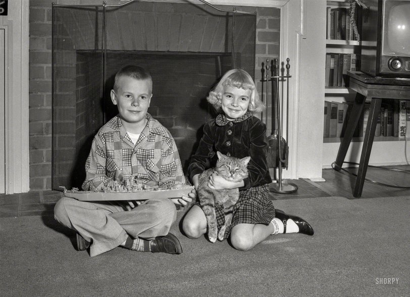 SHORPY 1147A 0.preview