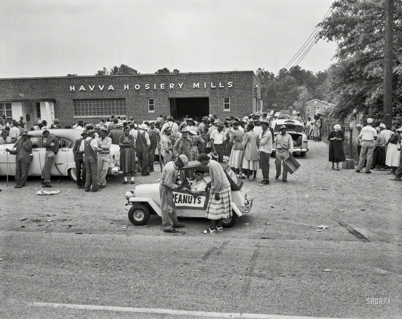 SHORPY 1159A.preview