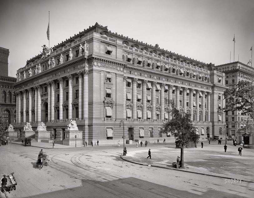 SHORPY 4a18636a.preview