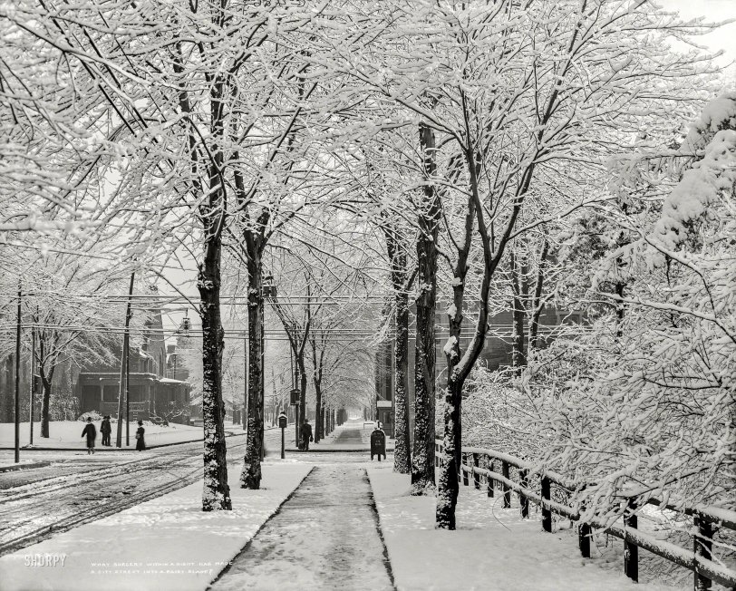 SHORPY 4a22415a.preview