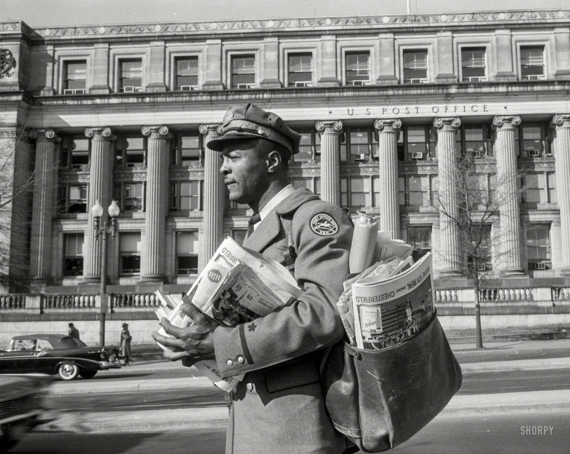 SHORPY 51737a1.preview