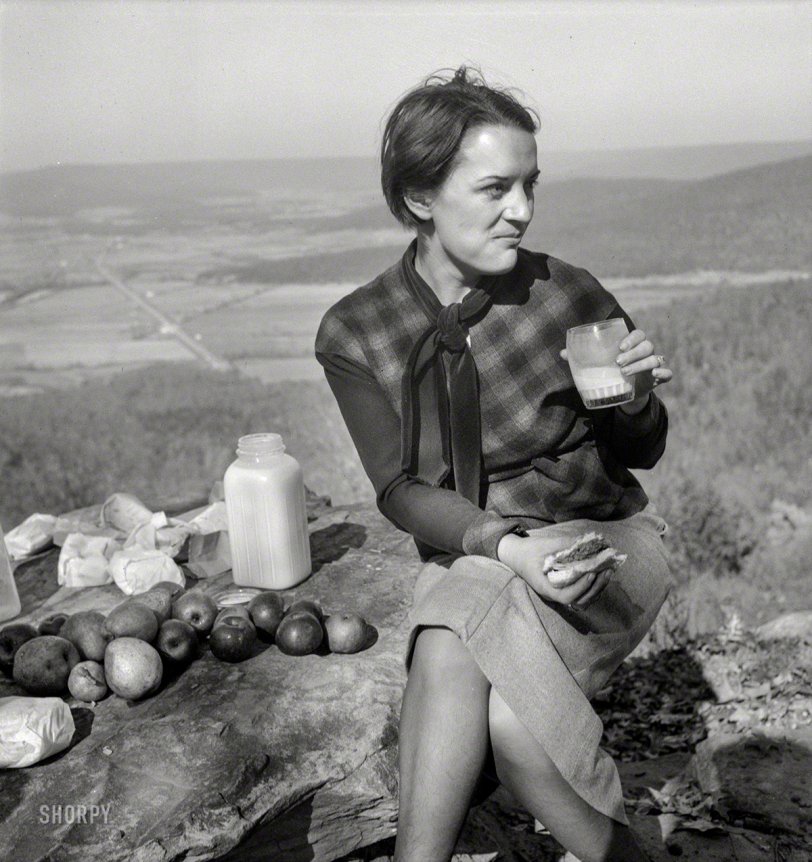 SHORPY 8d37579a.preview