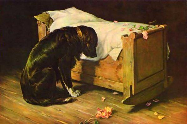 $$$$a4fd52defa9791c9ad338f9f51597ac5