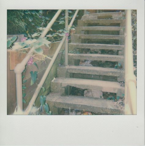 bc3e0195516619017932b84d12e0262d