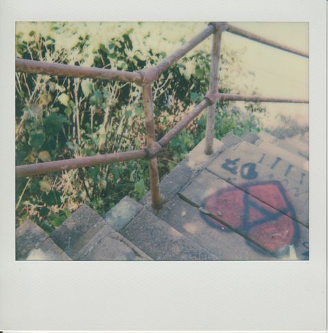 c8e5f93f972d795e8d984248ffa5d17d