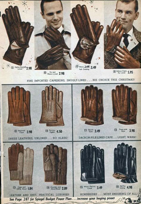 d552dc6c5386c8a1af63ea73eba25ffc