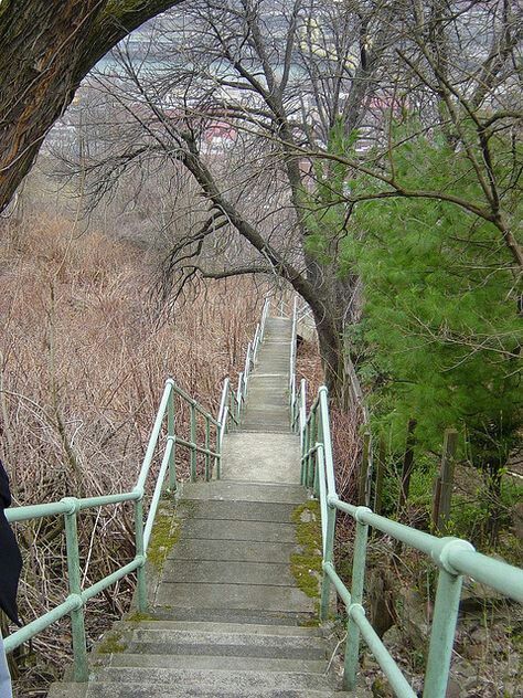 e92f46bb7451bf03f778147fb7ec7bae