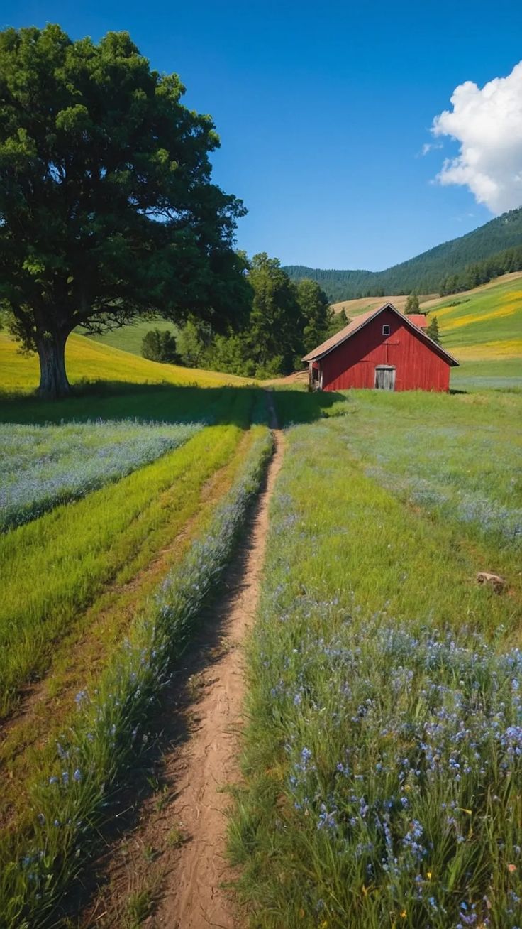 06d3229a9cbaf34d013d4652328aaf61