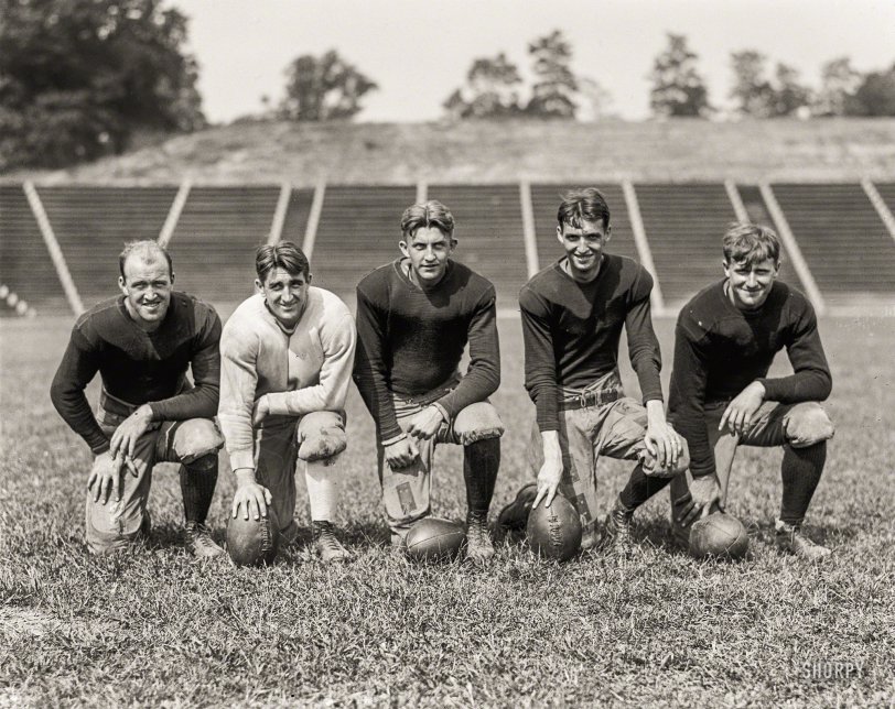 SHORPY 14472u.preview