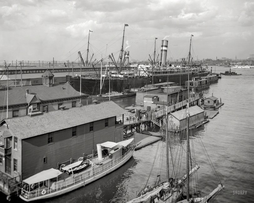 SHORPY 4a12541a.preview