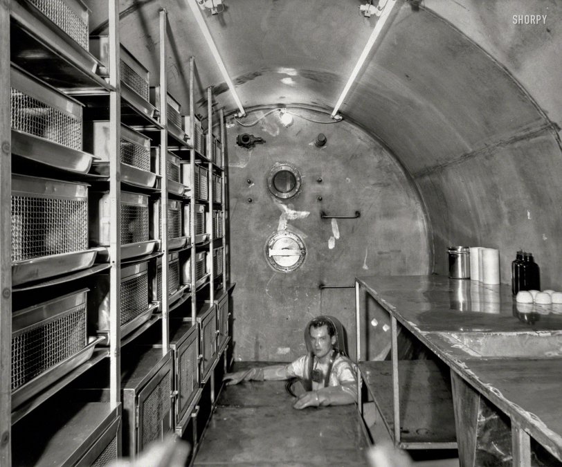 SHORPY 51526u.preview