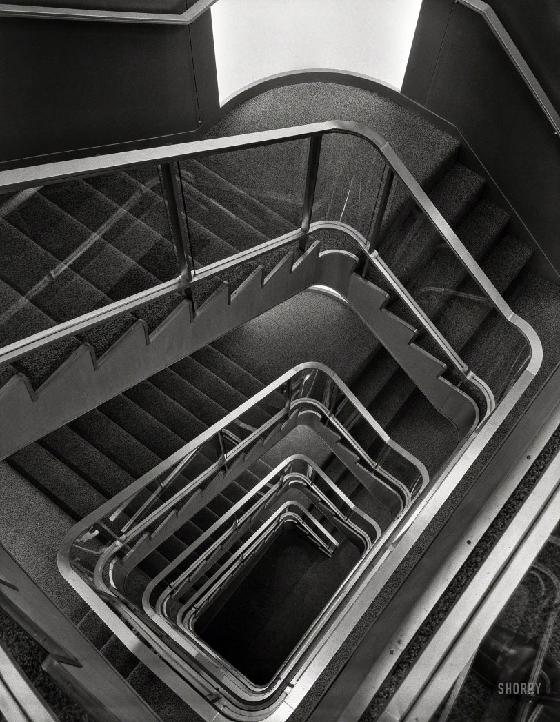 SHORPY 5a20203u.preview