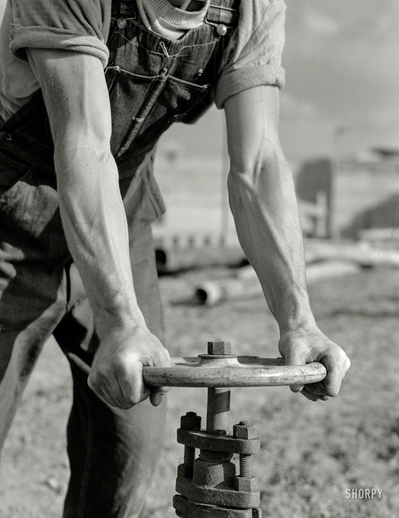 SHORPY 8b04467u.preview