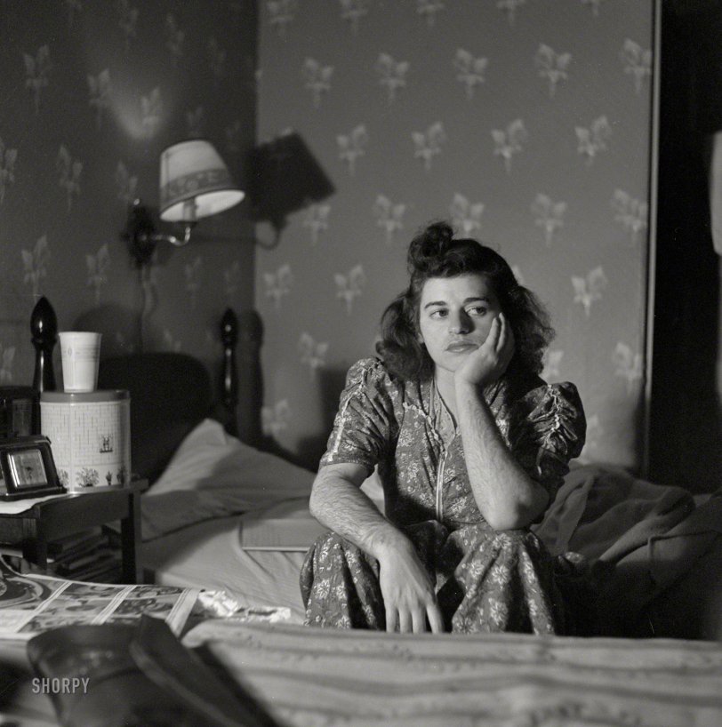 SHORPY 8d33584a.preview