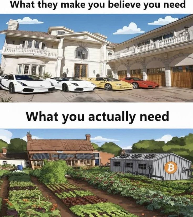 009a54445e8e22a6746e00aaa4993521