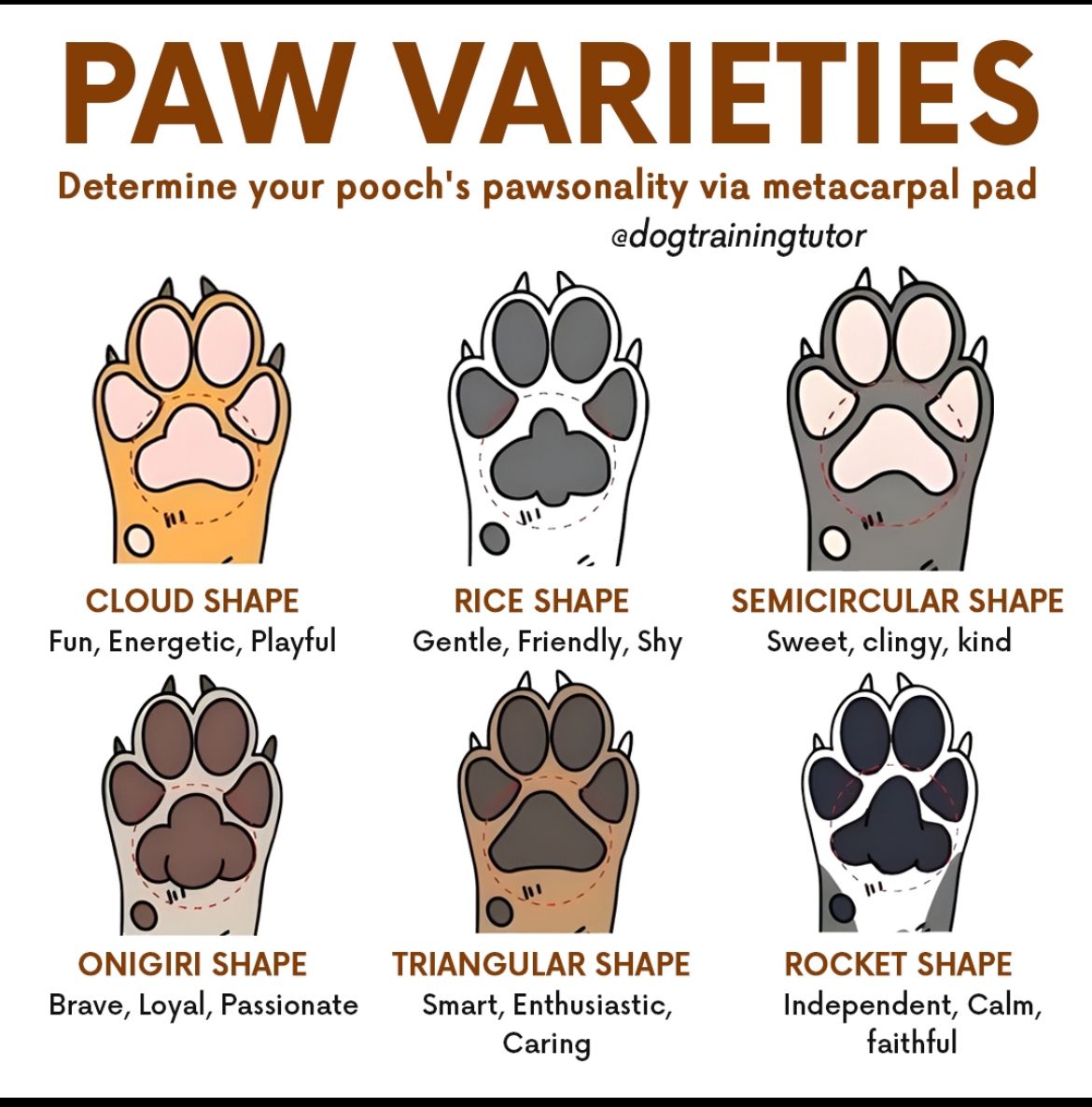 1eeea72a16c718204f35cf45641791f5