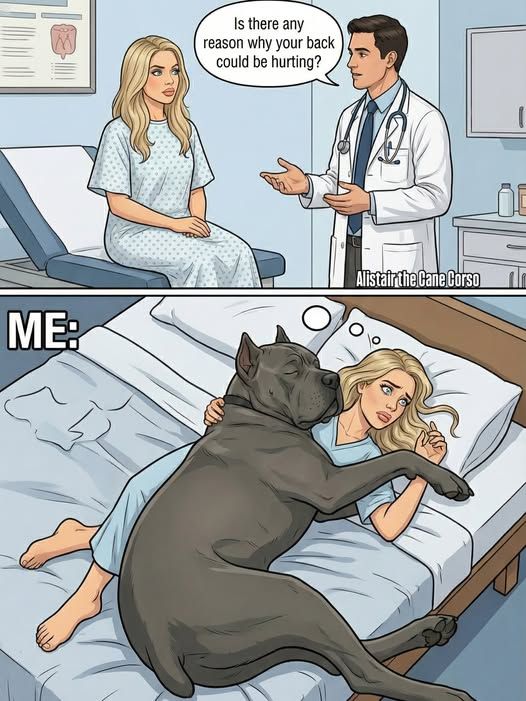 2d10950aab23487969e8cc411c9e153b